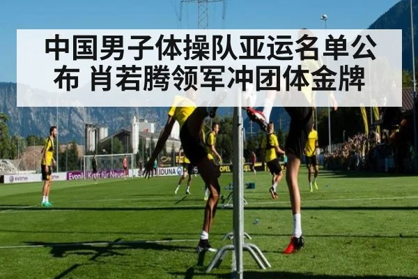 中国男子体操队亚运名单公布 肖若腾领军冲团体金牌